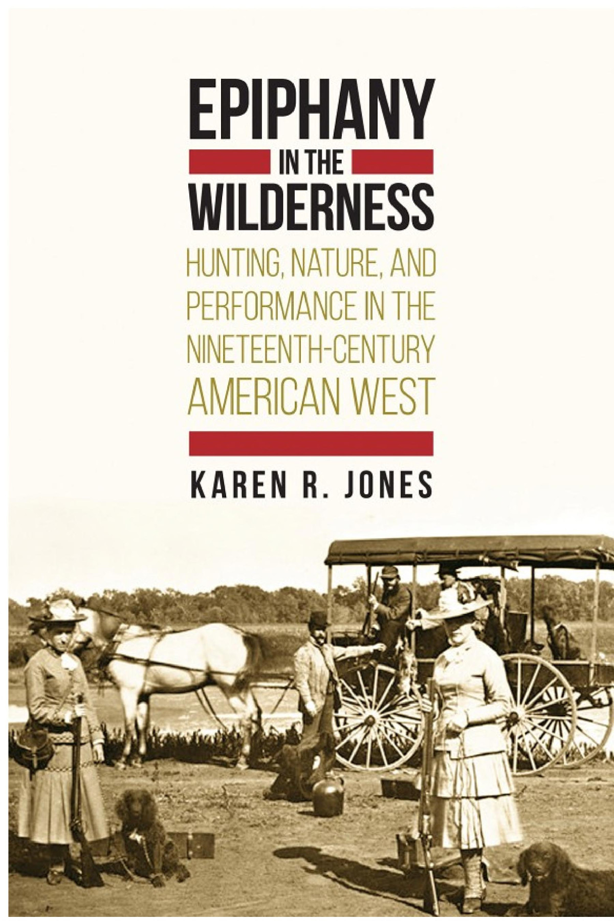 Epiphany In The Wilderness Karen R Jones