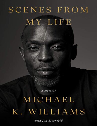 Scenes From My Life Michael K Williams Jon Sternfeld