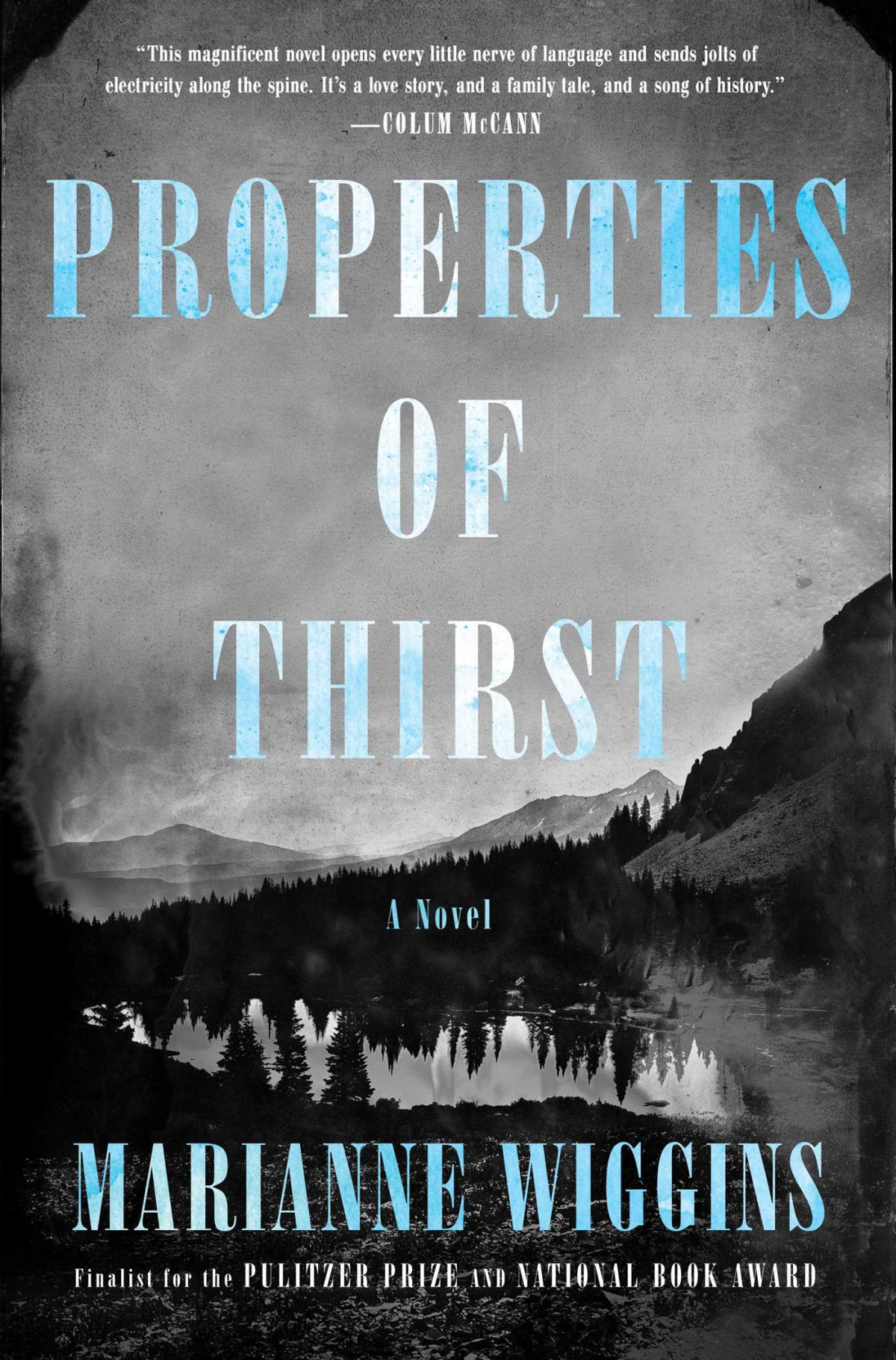 Properties Of Thirst Marianne Wiggins