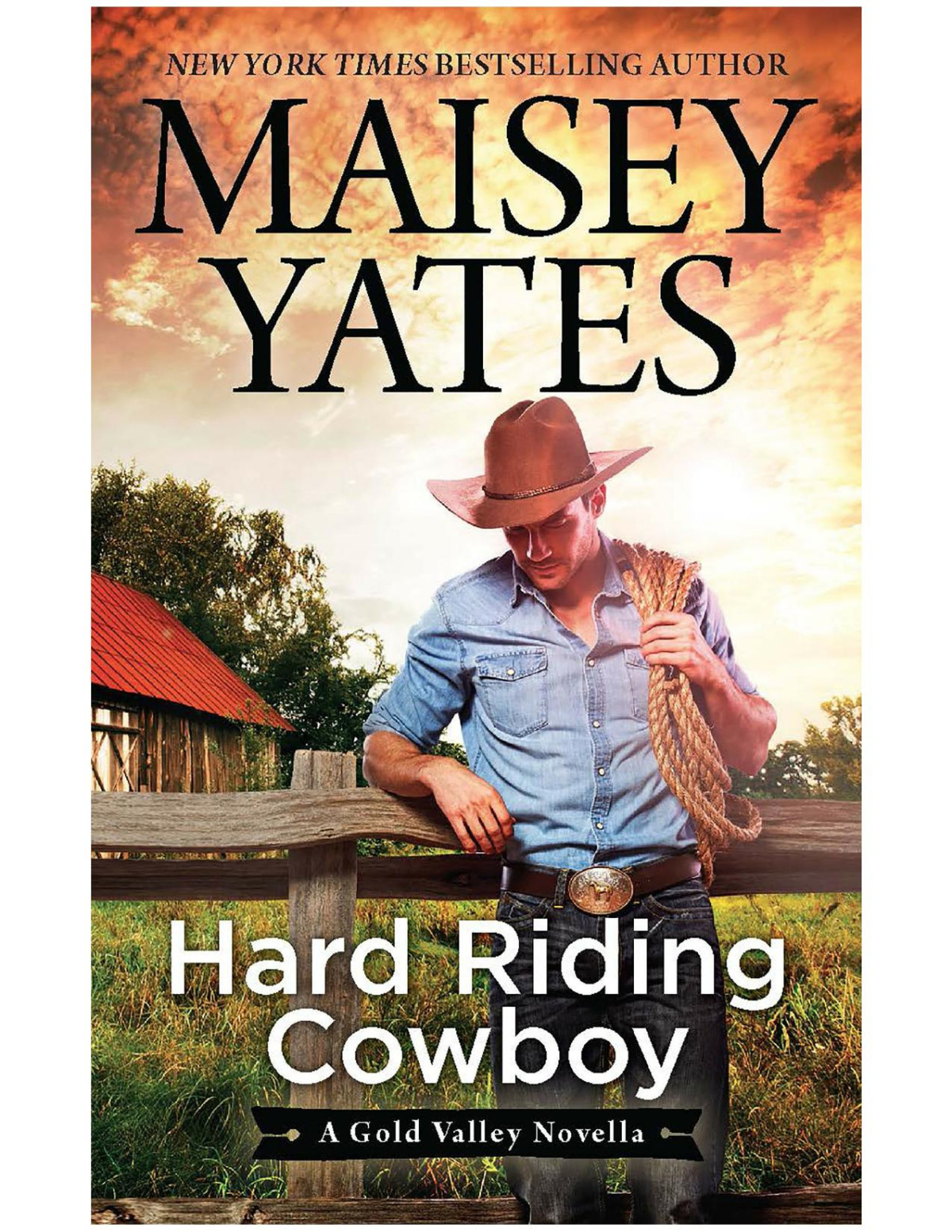 Hard Riding Cowboy Maisey Yates