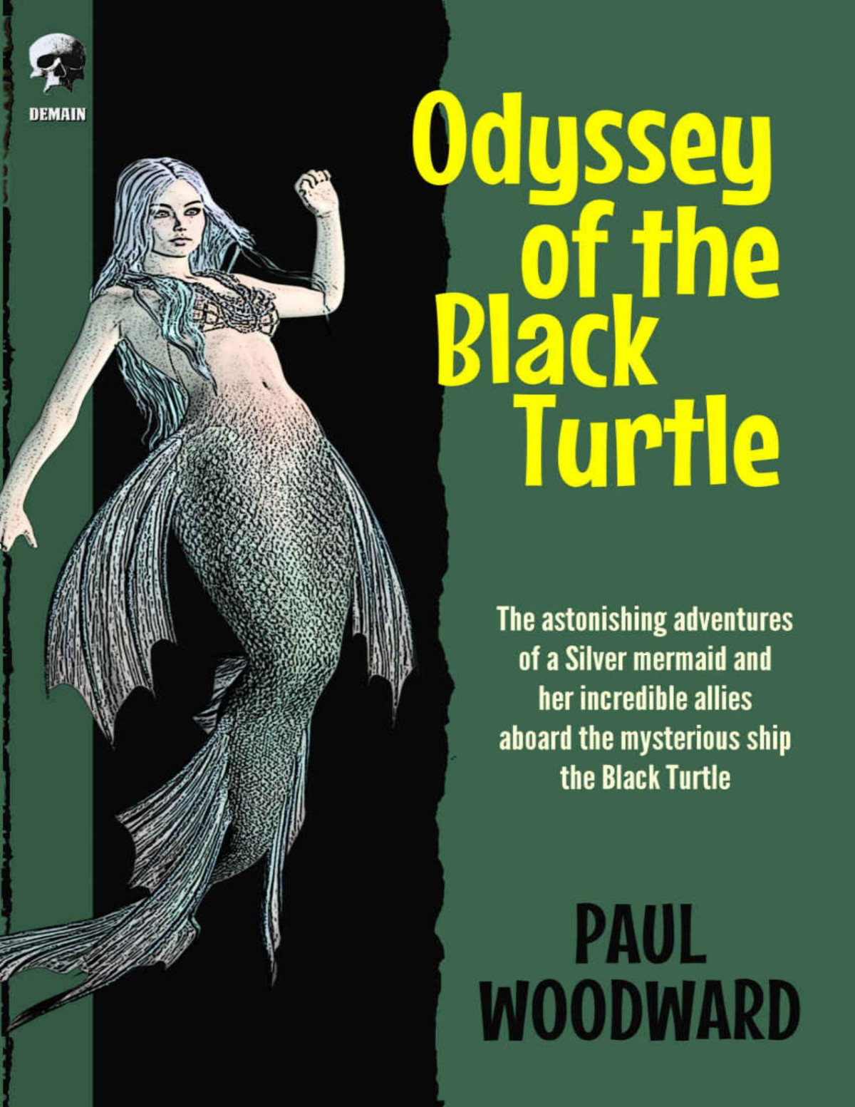 Odyssey Of The Black Turtle Paul Woodward