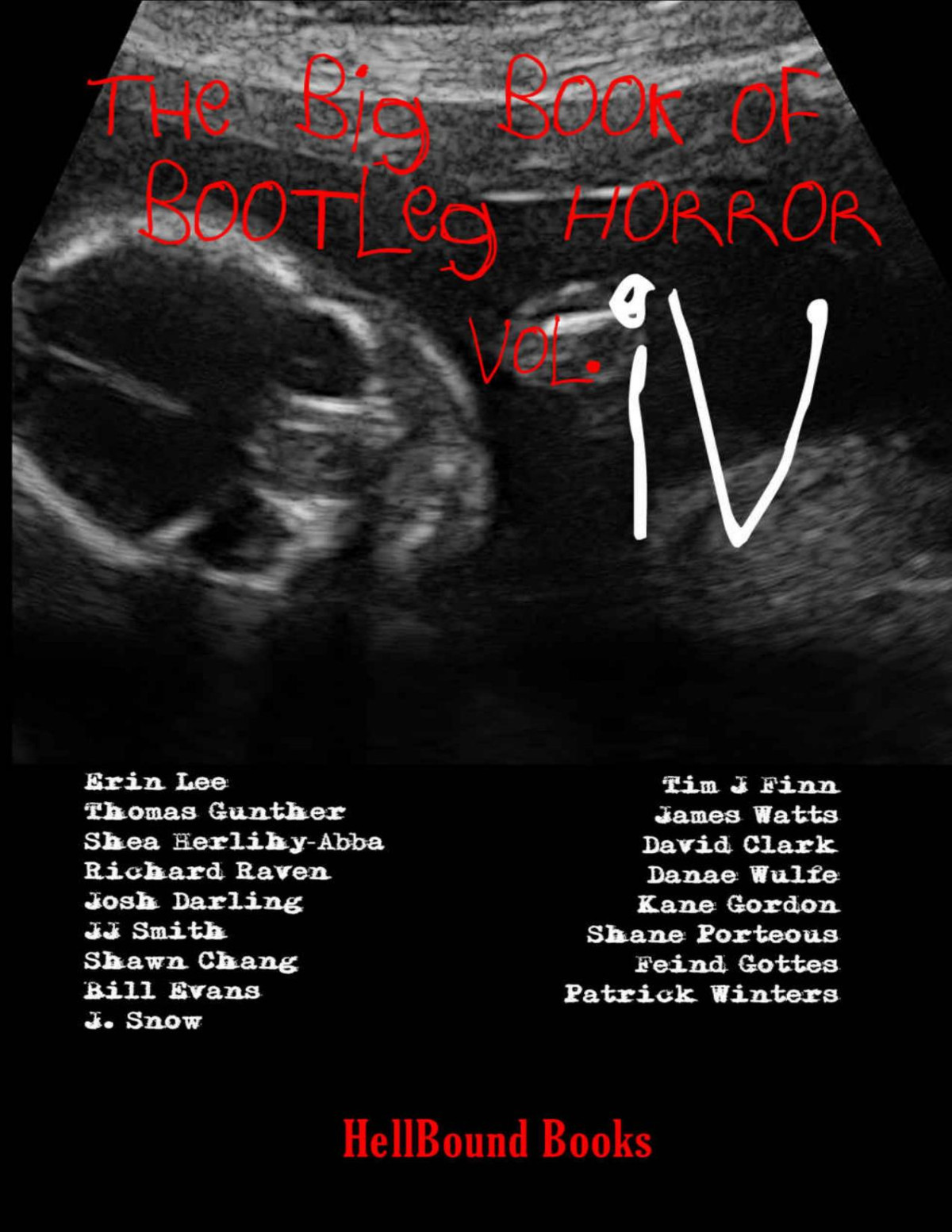 The Big Book Of Bootleg Horror Volume 4 Erin Lee