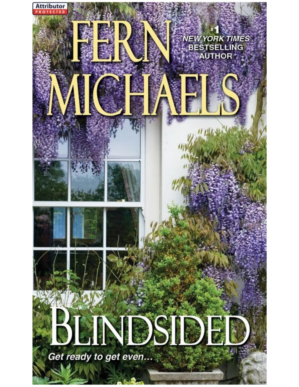 Blindsided Fern Michaels