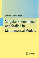 Singular Phenomena And Scaling In Mathematical Models 1st Edition Kathrin Bacher