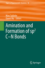 Amination And Formation Of Sp2 Cn Bonds 1st Edition Georgia S Lemen