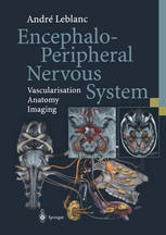 Encephaloperipheral Nervous System Vascularisation Anatomy Imaging 1st Edition Andr Leblanc Auth