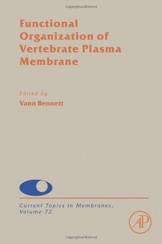 Functional Organization Of Vertebrate Plasma Membrane 1st Edition Vann Bennett Eds