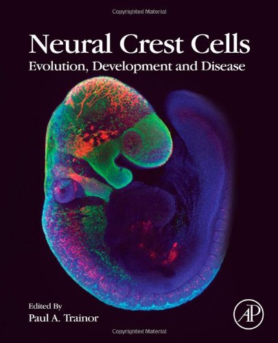 Neural Crest Cells Evolution Development And Disease 1st Edition Paul Trainor Eds