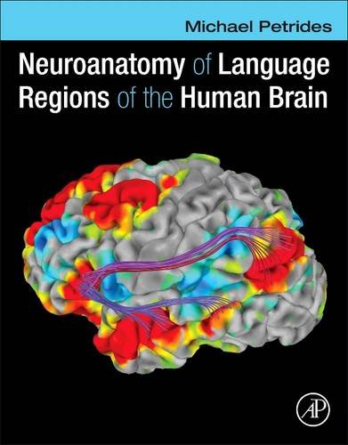 Neuroanatomy Of Language Regions Of The Human Brain 1st Edition Michael Petrides