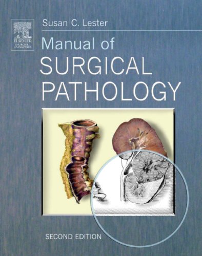 Manual Of Surgical Pathology 2nd Edition Susan C Lester Auth