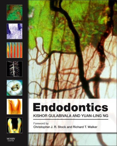 Endodontics 4th Edition Kishor Gulabivala And Yuanling Ng Auth