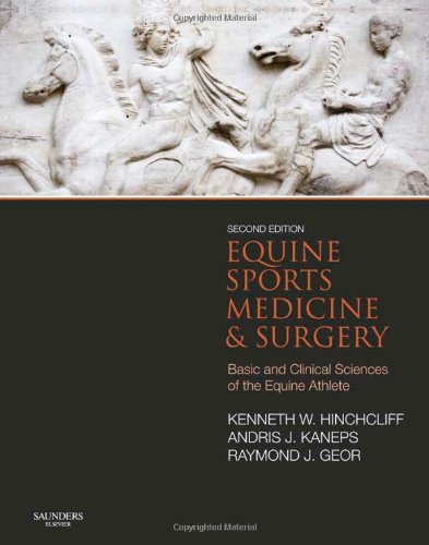 Equine Sports Medicine And Surgery 2nd Edition Kenneth W Hinchcliff