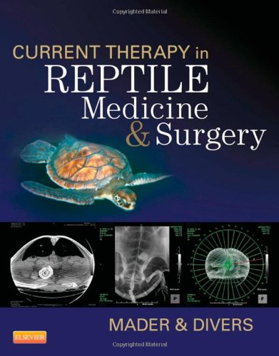 Current Therapy In Reptile Medicine And Surgery 1st Edition Douglas R Mader And Stephen J Divers Eds