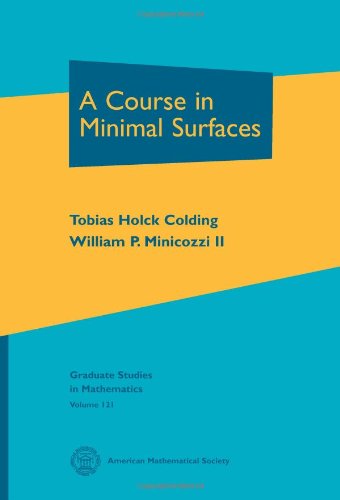 A Course In Minimal Surfaces Tobias Holck Colding William P Minicozzi Ii