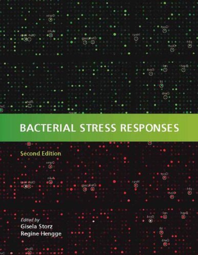 Bacterial Stress Responses 2nd Edition Gisela Storz Regine Hengge