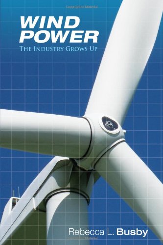 Wind Power The Industry Grows Up Rebecca L Busby