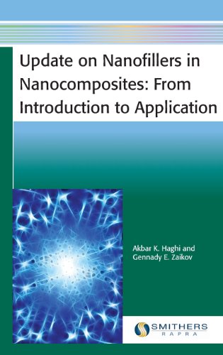 Update On Nanofillers In Nanocomposites From Introduction To Application 1st Edition Haghi