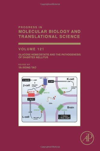 Glucose Homeostatis And The Pathogenesis Of Diabetes Mellitus 1st Edition Yaxiong Tao Eds