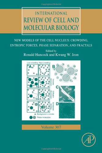 New Models Of The Cell Nucleus Crowding Entropic Forces Phase Separation And Fractals 1st Edition Ronald Hancock And Kwang W Jeon Eds