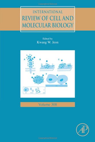 International Review Of Cell And Molecular Biology Volume 308 1st Edition Kwang W Jeon Eds