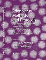 Adenovirus Methods And Protocols Volume 2 Ad Proteins Rna Lifecycle Host Interactions And Phylogenetics 2nd Edition Cristina Iftode