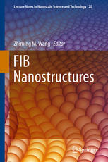 Fib Nanostructures 1st Edition Krishna Kant Phd Dusan Losic Auth