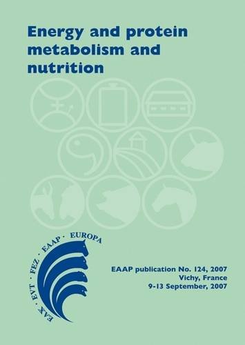 Energy And Protein Metabolism And Nutrition I Ortiguesmarty N Miraux W Brandwilliams
