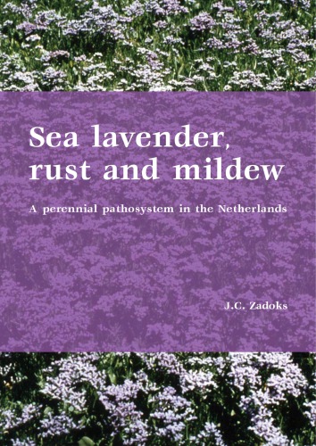 Sea Lavender Rust And Mildew A Perennial Pathosystem In The Netherlands Jc Zadoks