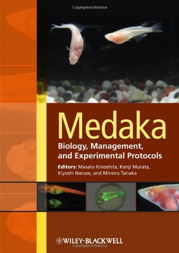 Medaka Biology Management And Experimental Protocols 1st Edition Masato Kinoshita