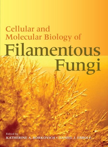 Cellular And Molecular Biology Of Filamentous Fungi 1st Edition Katherine Borkovich