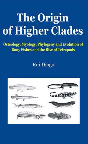 The Origin Of Higher Clades Osteology Myology Phylogeny And Evolution Of Bony Fishes And The Rise Of Tetrapods Diogo