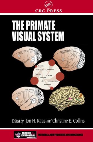 The Primate Visual System 1st Edition Kaas Jon H