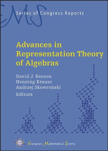 Advances In Representation Theory Of Algebras David J Benson