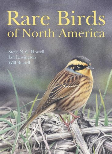 Rare Birds Of North America Steve N G Howell Ian Lewington