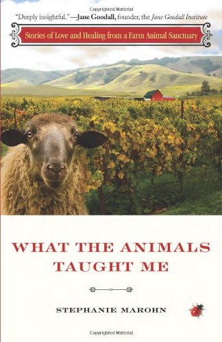 What The Animals Taught Me Stories Of Love And Healing From A Farm Animal Sanctuary Stephanie Marohn