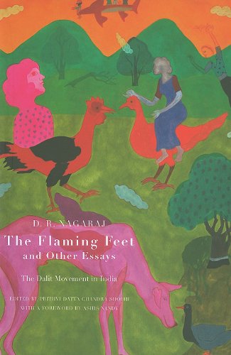 The Flaming Feet And Other Essays The Dalit Movement In India D R Nagaraj