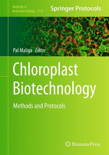 Chloroplast Biotechnology Methods And Protocols 1st Edition Pal Maliga Eds