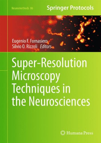 Superresolution Microscopy Techniques In The Neurosciences 1st Edition Eugenio F Fornasiero