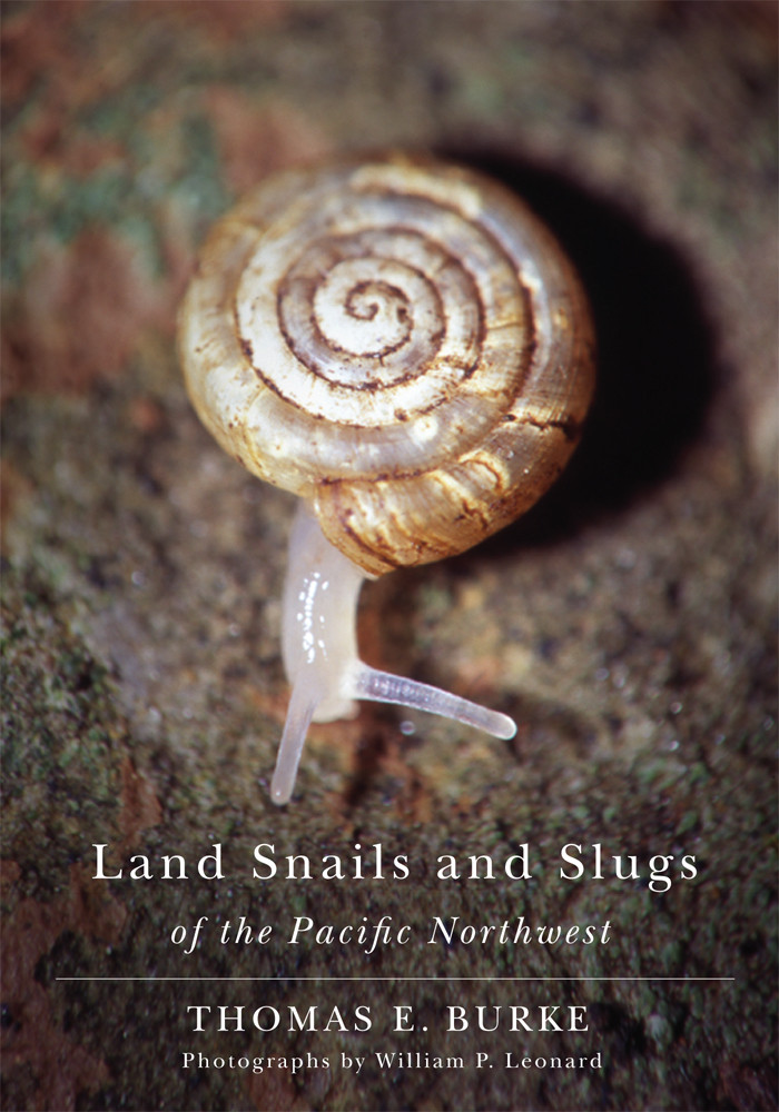 Land Snails And Slugs Of The Pacific Northwest Thomas E Burke