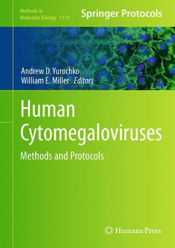 Human Cytomegaloviruses Methods And Protocols 1st Edition Andrew D Yurochko