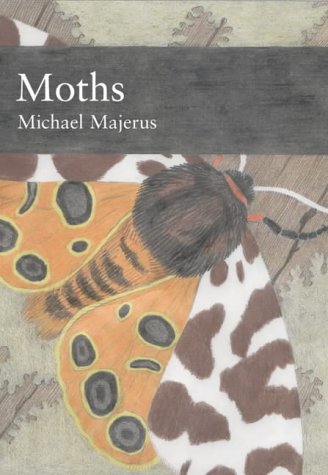 Moths First Edition Michael E N Majerus