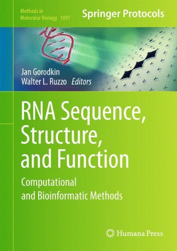 Rna Sequence Structure And Function Computational And Bioinformatic Methods 1st Edition Jan Gorodkin