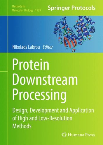 Protein Downstream Processing Design Development And Application Of High And Lowresolution Methods 1st Edition Nikolaos E Labrou Eds