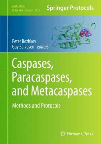 Caspasesparacaspases And Metacaspases Methods And Protocols 1st Edition Peter V Bozhkov