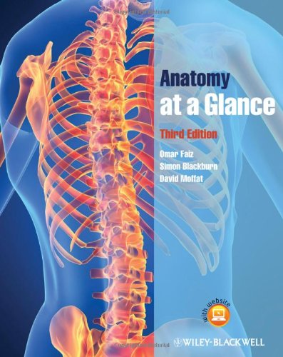Anatomy At A Glance Third Edition 3rd Edition Omar Faiz Simon Blackburn