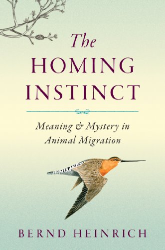 The Homing Instinct Meaning And Mystery In Animal Migration Bernd Heinrich