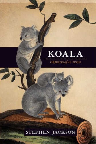 Koala Origins Of An Icon Reprint Stephen Jackson