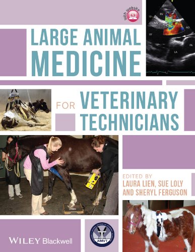 Large Animal Medicine For Veterinary Technicians 1st Edition Laura Lien