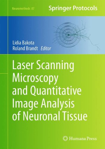 Laser Scanning Microscopy And Quantitative Image Analysis Of Neuronal Tissue 1st Edition Lidia Bakota