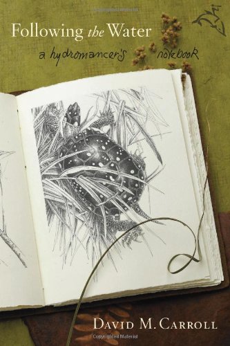 Following The Water A Hydromancers Notebook First Edition David M Carroll
